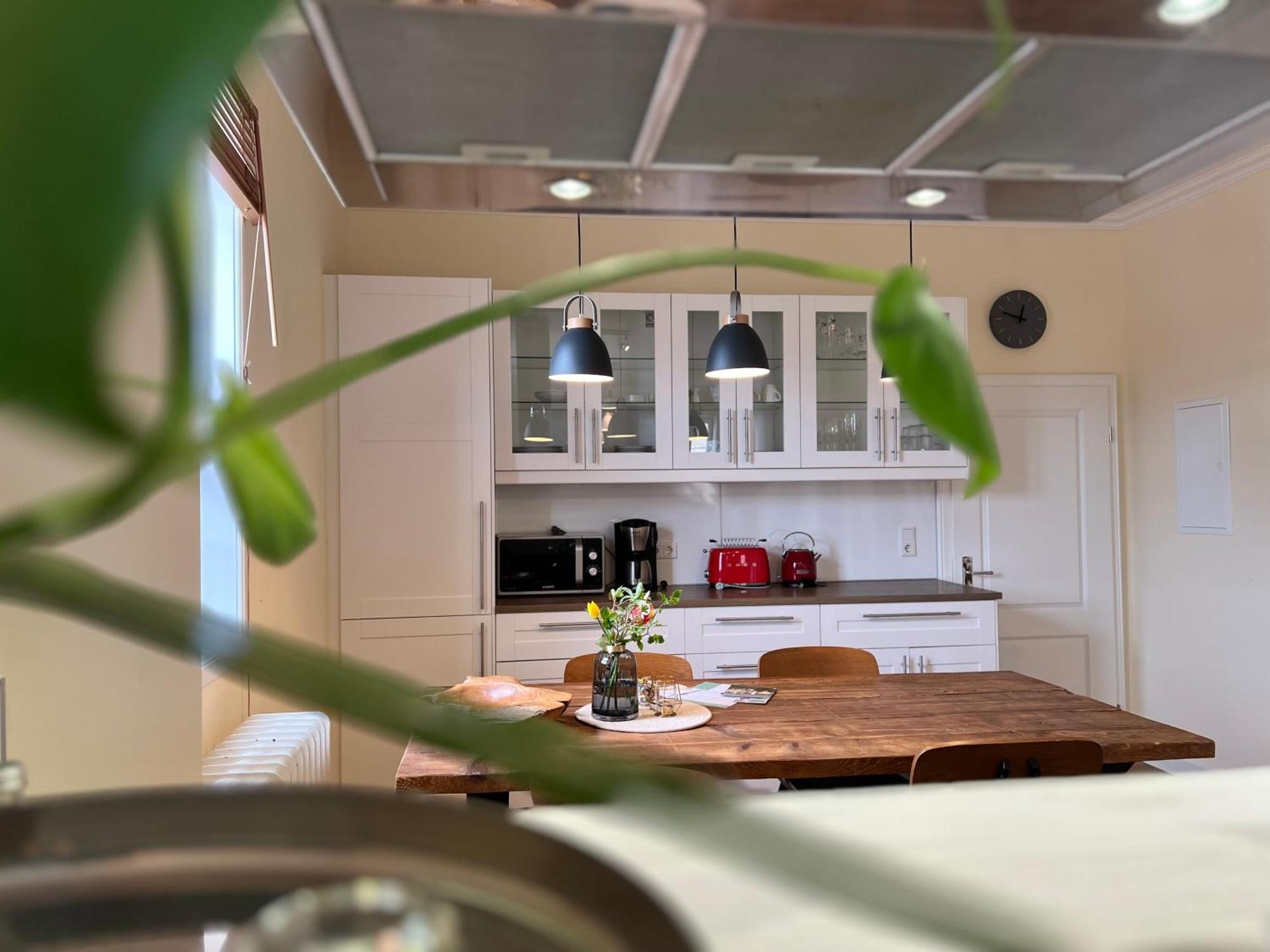 Graefin Anna - Design-Apartment In Der Historischen Hinterburg Schlitz - Nahe Fulda Und Bad Hersfeld Buitenkant foto