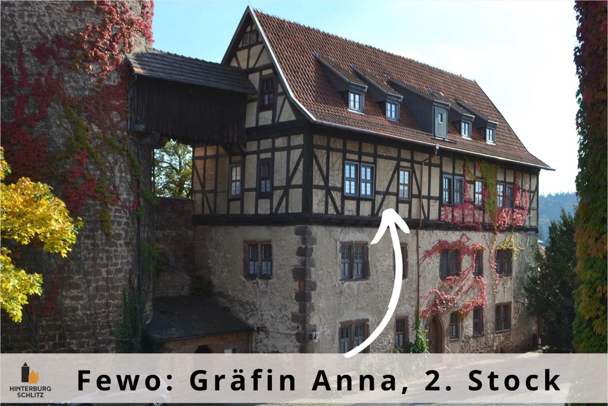 Graefin Anna - Design-Apartment In Der Historischen Hinterburg Schlitz - Nahe Fulda Und Bad Hersfeld Buitenkant foto