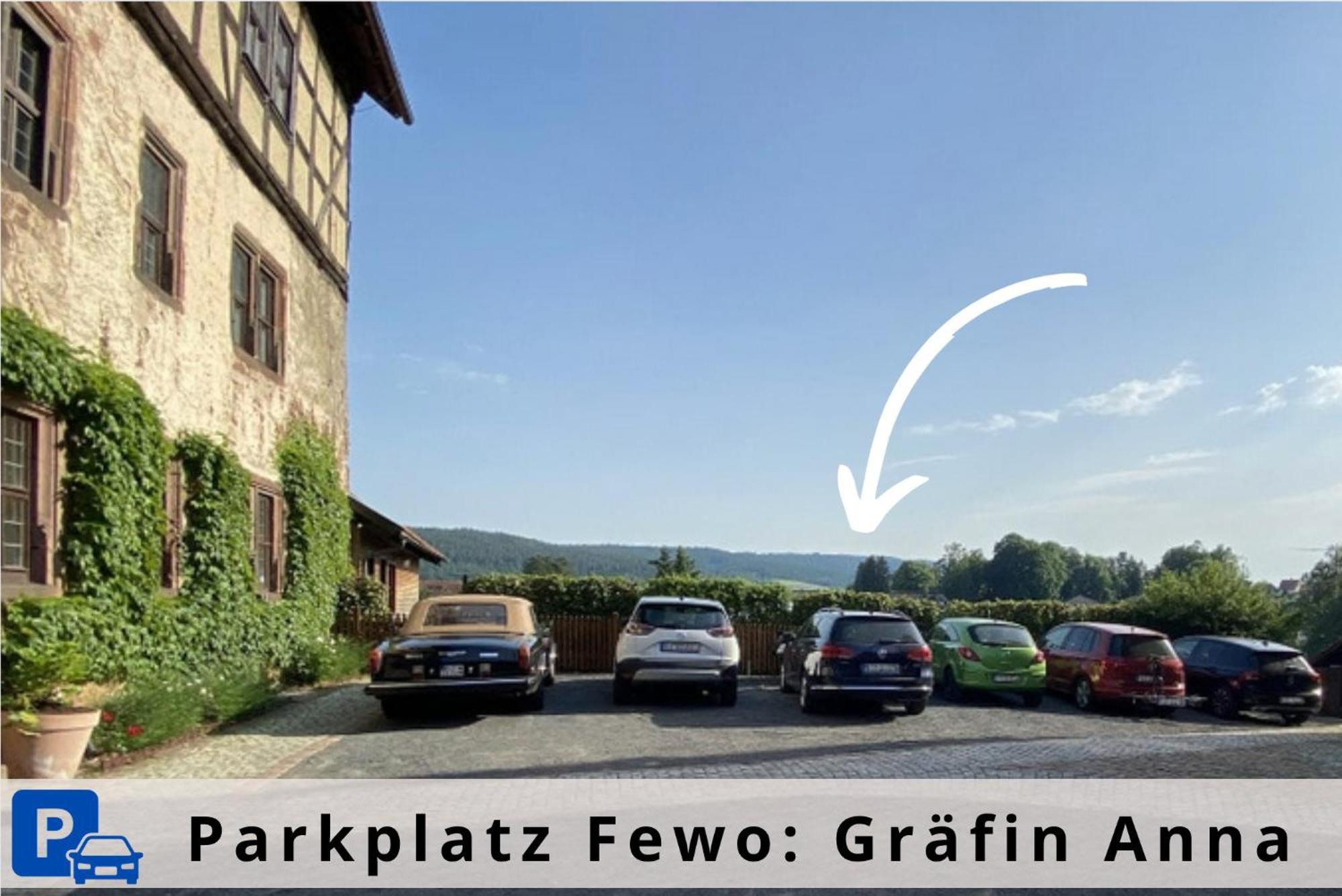 Graefin Anna - Design-Apartment In Der Historischen Hinterburg Schlitz - Nahe Fulda Und Bad Hersfeld Buitenkant foto